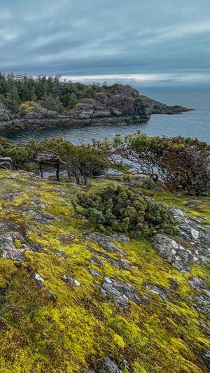 Digital nomads travelling the world.  Itinerary of British Columbia, Canada based on couple travel, slow travel, working remotely, vegan travel, and budget travel. Picture of the lush greenery and rocky coast in Lasqueti.