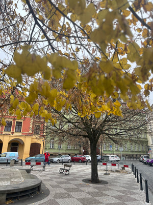 Digital nomads travelling through Prague. Couple travel, slow travel, working remotely, vegan travel, and budget travel. Prague courtyard in Winter.