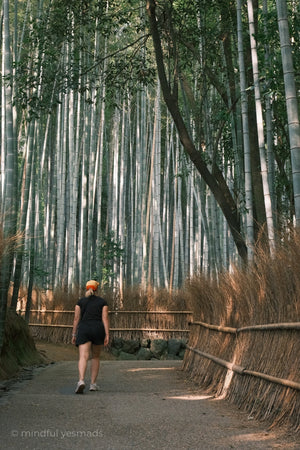 How to travel slowly on short trips