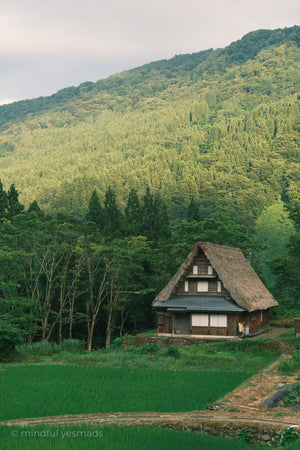 Traditional wooden house nestled in a lush green forest with mountains in the background.