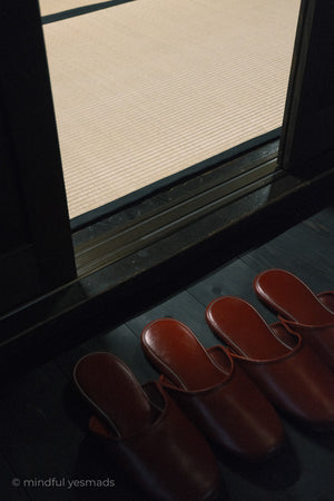 Pair of brown slippers on a dark surface with a window in the background