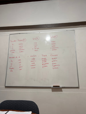 Digital nomads travelling the world in Santiago Chile. Working remotely, slow travel, vegan travel, and budget travel. Spanish lessons to learn Spanish in Santiago Chile. 