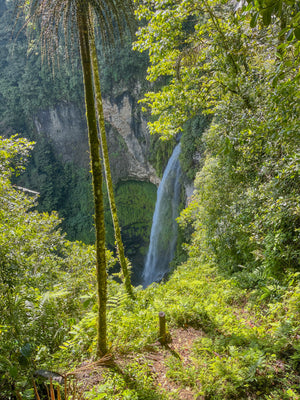 Digital nomads travelling the world.  Itinerary of Costa Rica based on couple travel, slow travel, working remotely, vegan travel, and budget travel. Picture of the forest, waterfall, and trees.