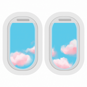 Clouds passing plane windows GIF