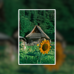 Only Place on Earth.