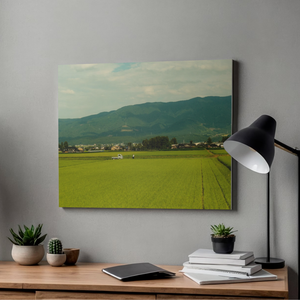 Fields of Simplicity