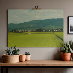 Fields of Simplicity