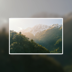 Milford Sound Sensations