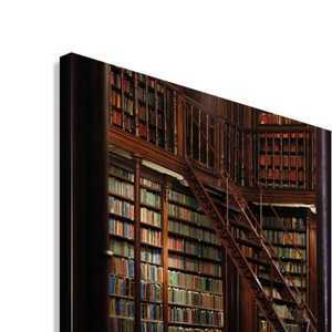 Library with wooden bookshelves and a ladder on a white background