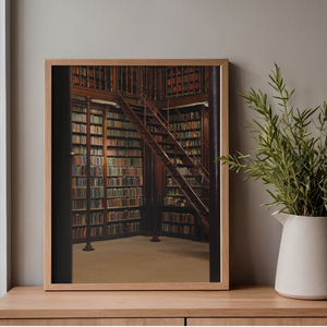 Framed print of a library with a staircase on a wooden shelf with a plant.