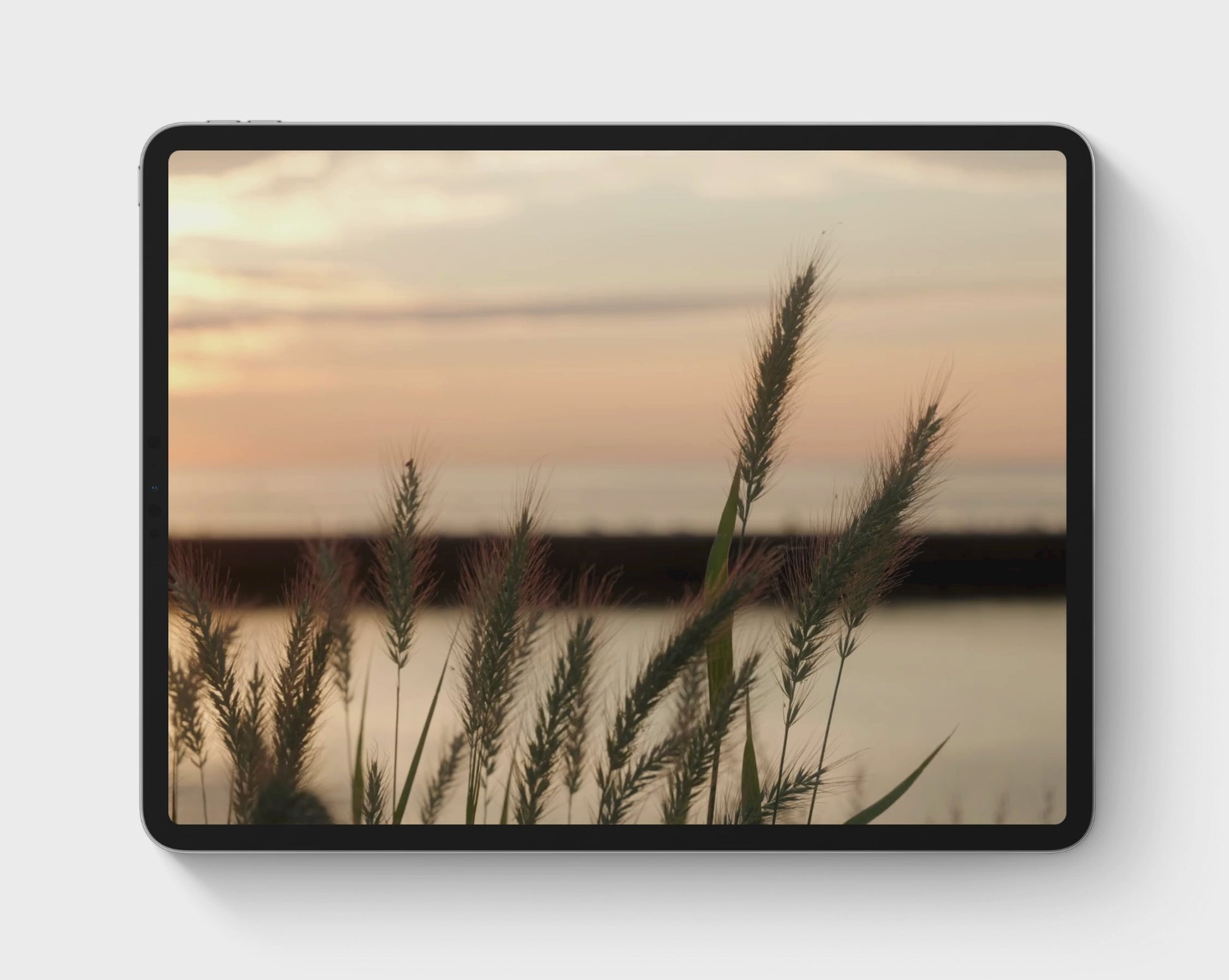 Resources and templates for a minimalist lifestyle including digital minimalism, clothing, food, and literature and books, etc.